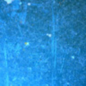 Meet your Posher, Layne